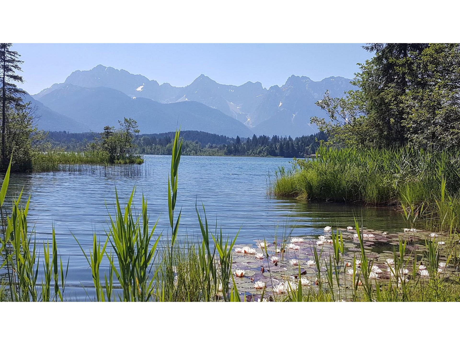 Der Barmsee läd zum